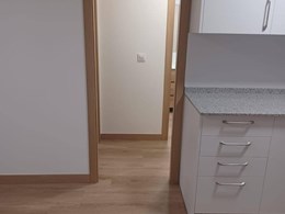 Cocina, tarima y pintado.